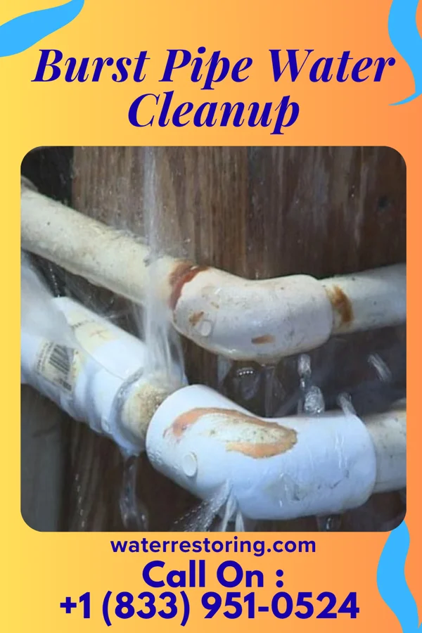 Burst Pipe Water Cleanup in Elizabeth, NJ