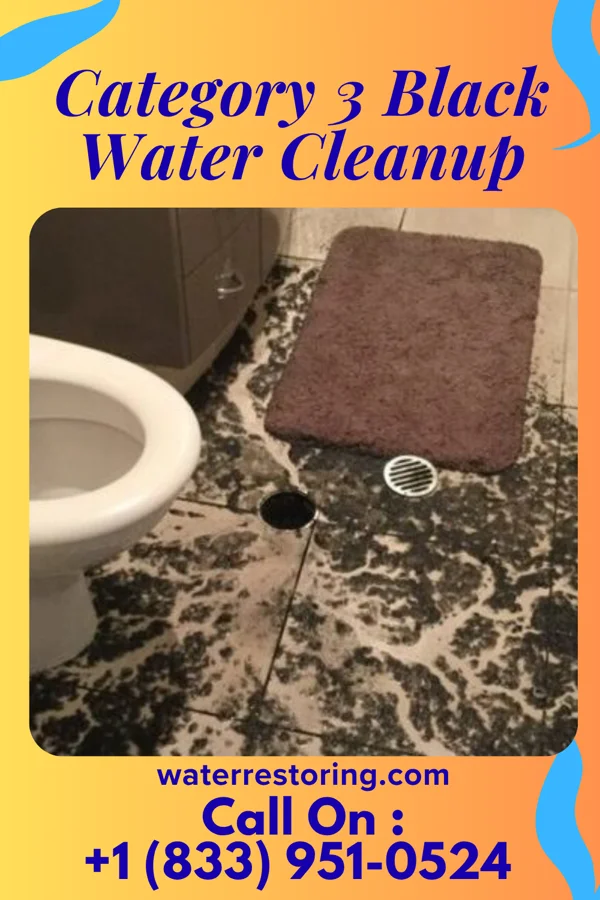 Category 3 Black Water Cleanup in Elizabeth, NJ
