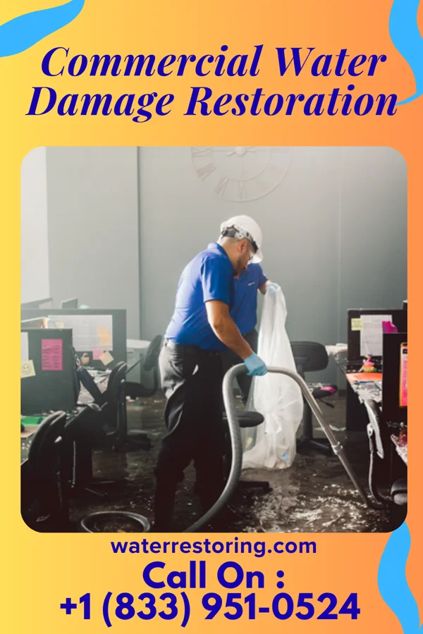 Commercial Water Damage Restoration in Elizabeth, NJ