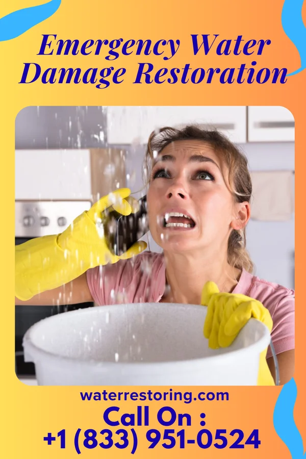 Emergency Water Damage Restoration in Elizabeth, NJ