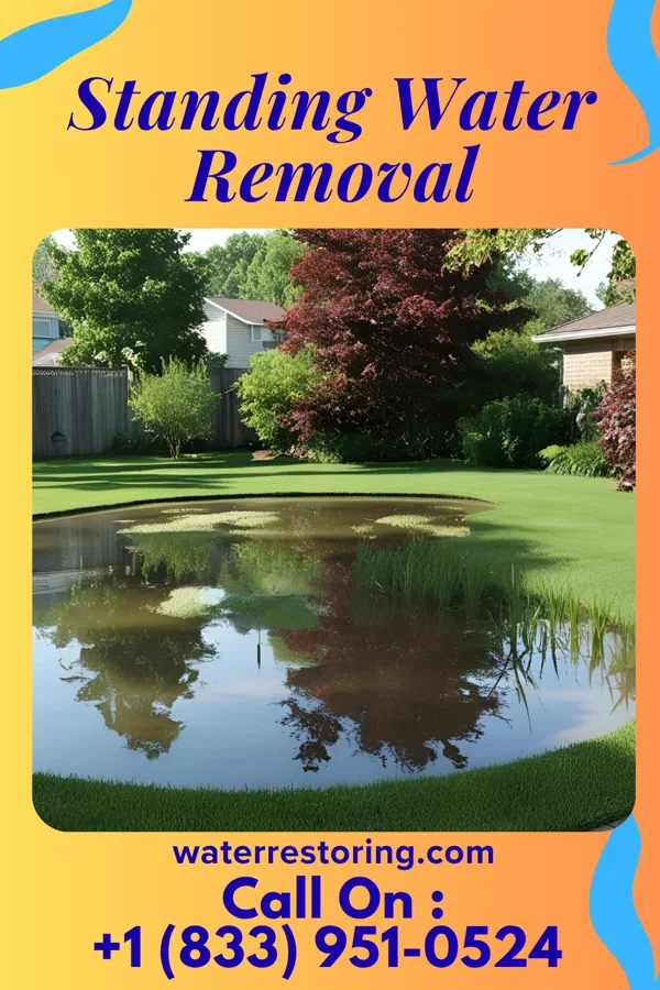 Standing Water Removal in Elizabeth, NJ